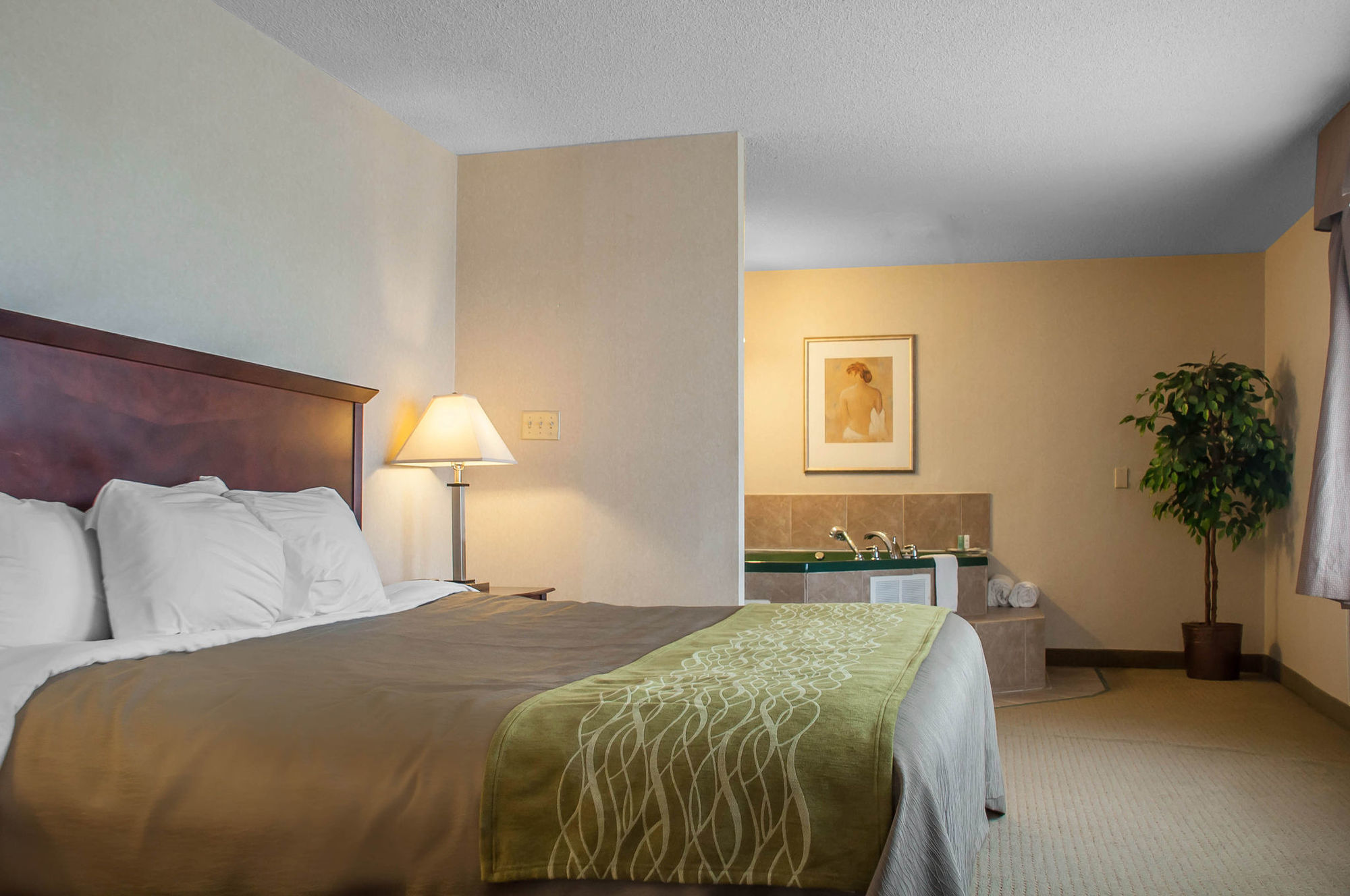 Comfort Inn & Suites Barrie Cameră foto